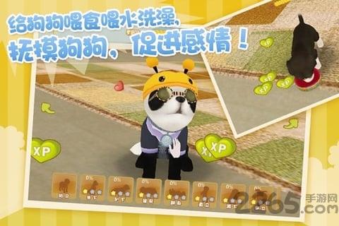 心动小狗伙伴无限钻石版下载,心动小狗伙伴,宠物手游,养成手游